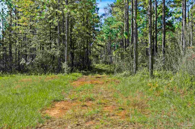0 Nokomis Rd, Walnut Hill FL 32568 photo 14