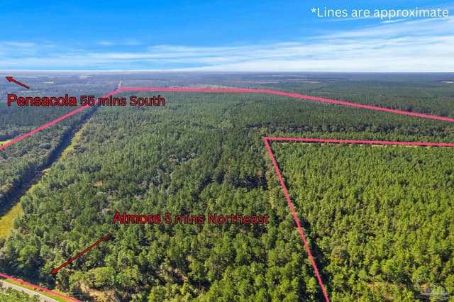 0 Nokomis Rd, Walnut Hill FL 32568 photo 18