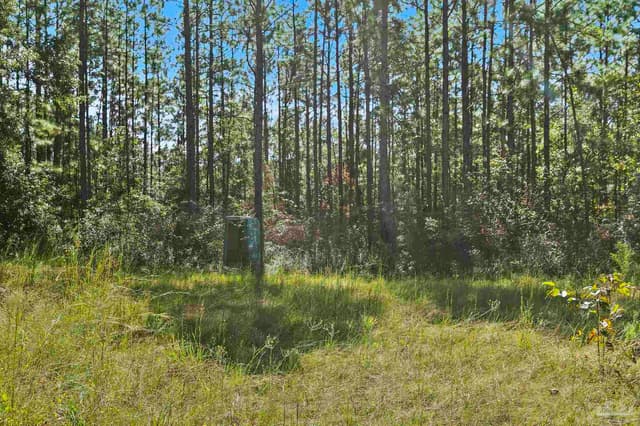 0 Nokomis Rd, Walnut Hill FL 32568 photo 15