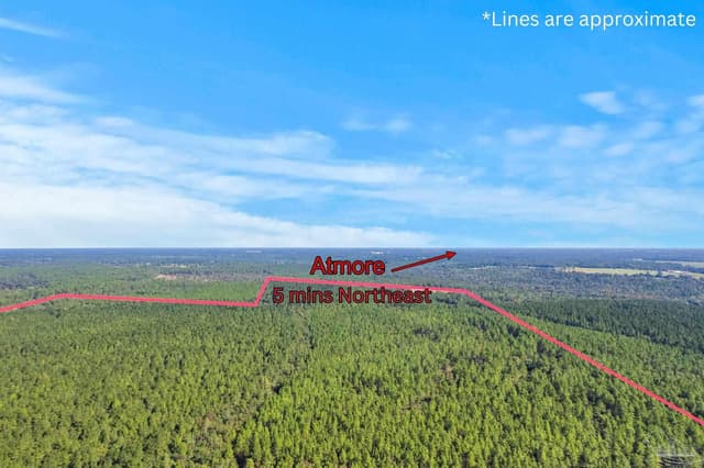 0 Nokomis Rd, Walnut Hill FL 32568 photo 19