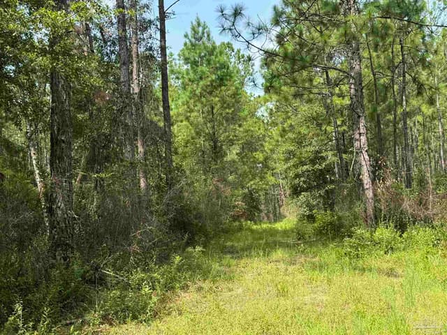 0 Nokomis Rd, Walnut Hill FL 32568 photo 29