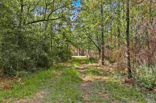 0 Nokomis Rd, Walnut Hill FL 32568 photo 21