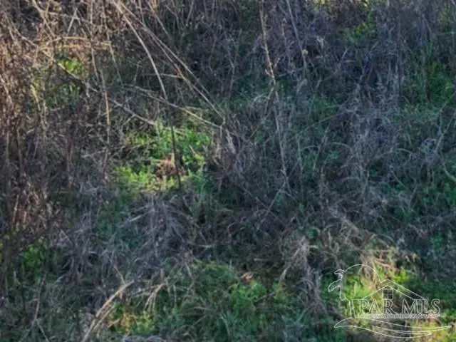 000 Hwy 90 property photo