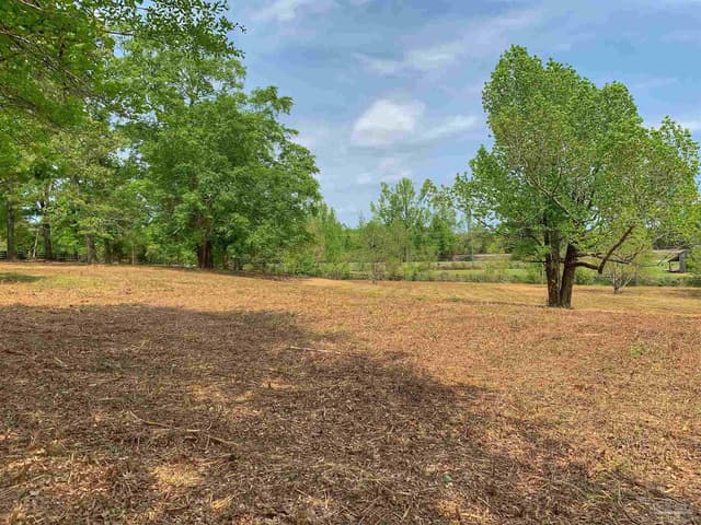 0 Maplewood Dr, Atmore AL 36502 photo 2