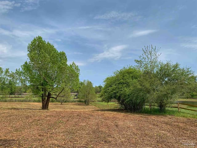 0 Maplewood Dr, Atmore AL 36502 photo 6