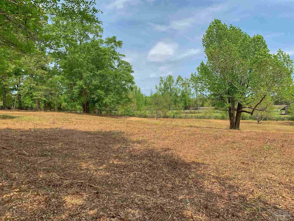 0 Maplewood Dr, Atmore AL 36502 photo 1