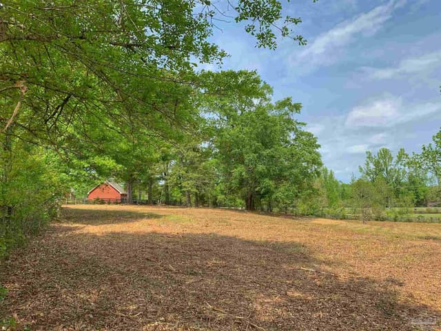 0 Maplewood Dr, Atmore AL 36502 photo 8