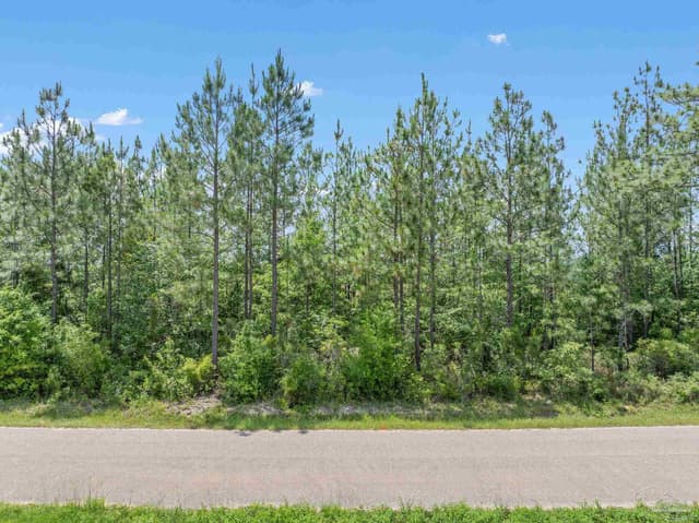 Lot 52 Mineral Springs Rd, Jay FL 32565 exterior
