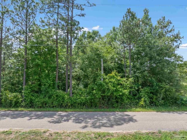 Lot 53 Mineral Springs Rd, Jay FL 32565 exterior