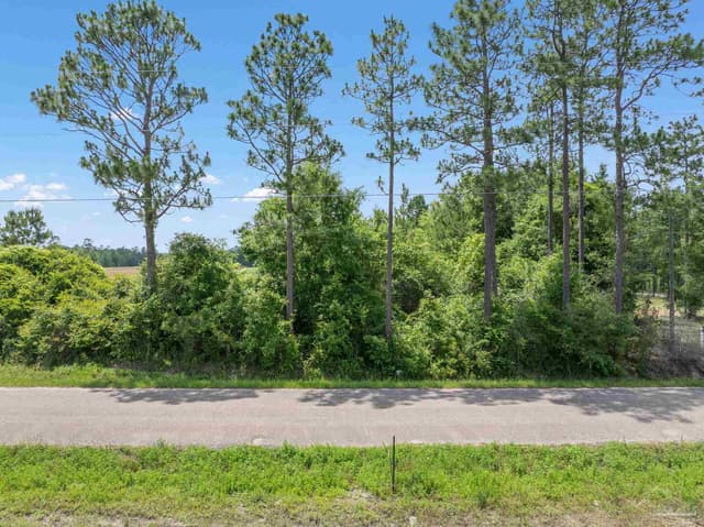 Lot 54 Mineral Springs Rd, Jay FL 32565 exterior