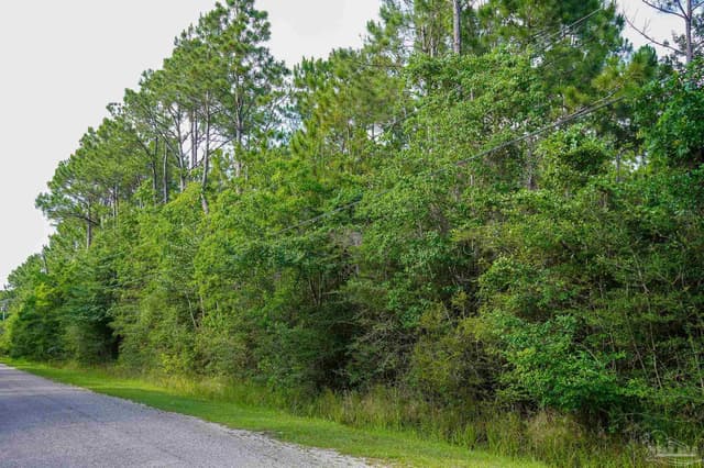 968 Clearview St, Milton FL 32583 photo 2