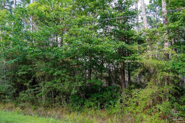 968 Clearview St, Milton FL 32583 photo 7