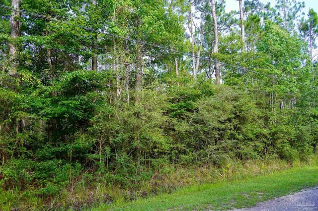 968 Clearview St, Milton FL 32583 photo 4