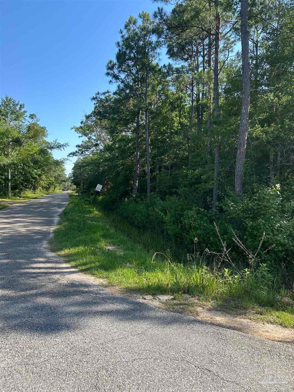 0001 Dickerson City Rd, Bagdad FL 32583 photo 1