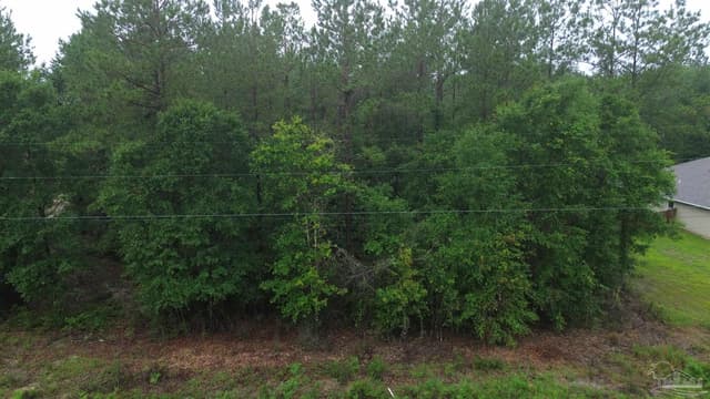 Lot 86 Pineview Church Rd, Jay FL 32565 photo 3