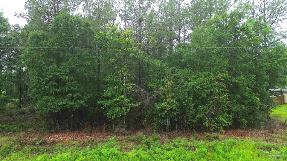 Lot 86 Pineview Church Rd, Jay FL 32565 photo 1