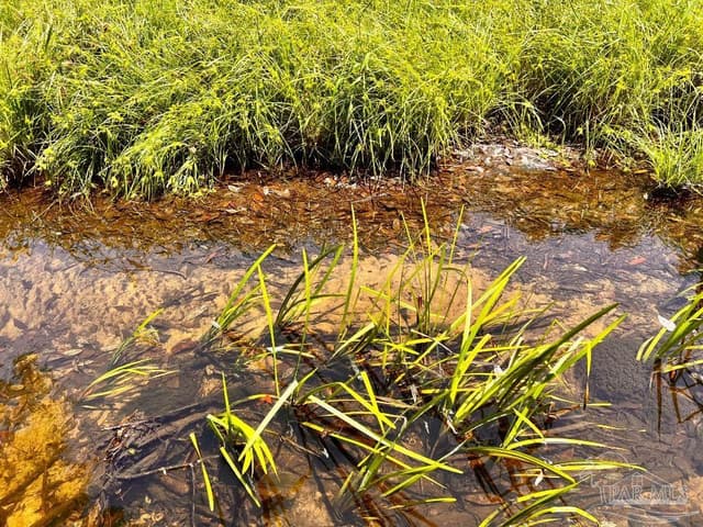 Lot 95 Turning Leaf Rd, Jay FL 32565 exterior