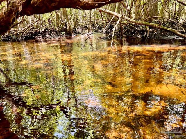 Lot 96 Turning Leaf Rd, Jay FL 32565 exterior