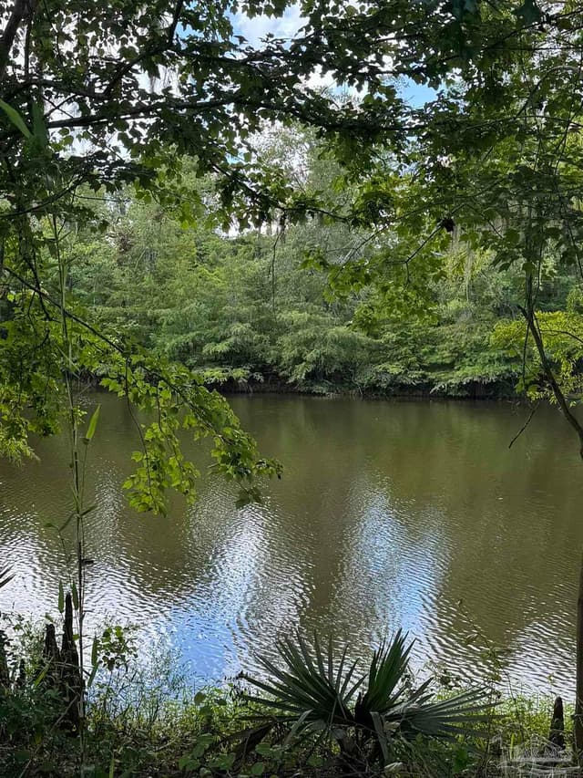 2610 Hwy 4, Jay FL 32565 photo 62