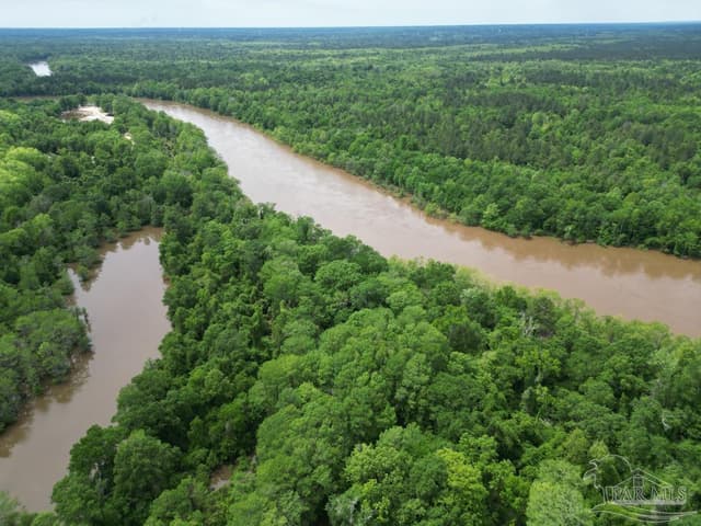 2610 Hwy 4, Jay FL 32565 photo 23