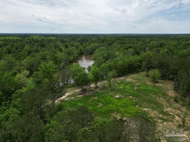 2610 Hwy 4, Jay FL 32565 photo 27