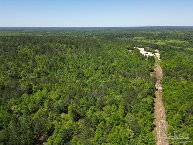 2610 Hwy 4, Jay FL 32565 photo 72