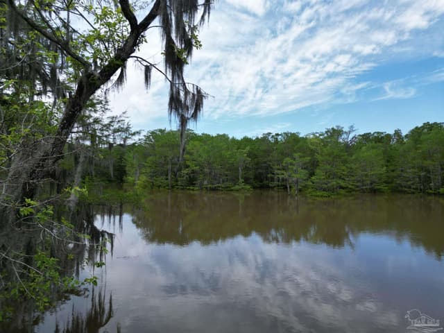 2610 Hwy 4, Jay FL 32565 photo 6