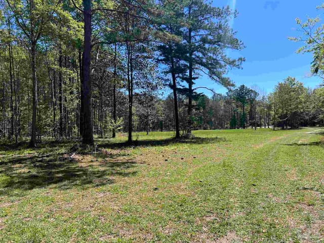 2610 Hwy 4, Jay FL 32565 photo 56