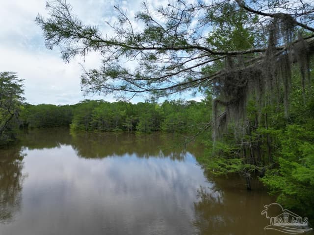 2610 Hwy 4, Jay FL 32565 photo 42