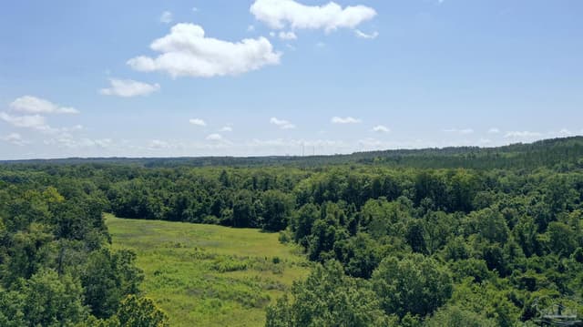 2610 Hwy 4, Jay FL 32565 photo 13