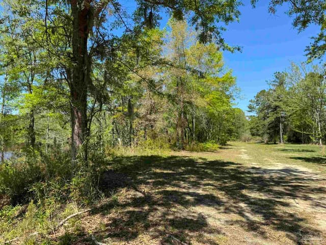 2610 Hwy 4, Jay FL 32565 photo 47