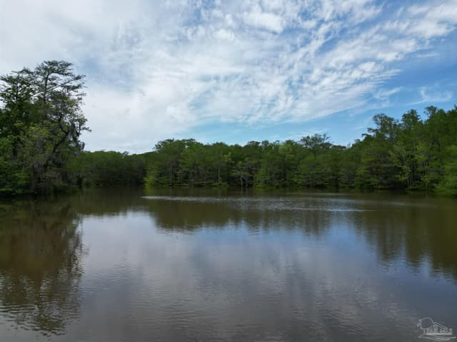 2610 Hwy 4, Jay FL 32565 photo 43