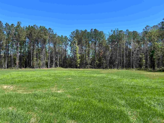 2610 Hwy 4, Jay FL 32565 photo 53