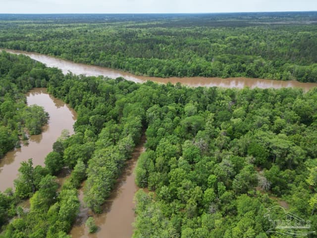 2610 Hwy 4, Jay FL 32565 photo 22