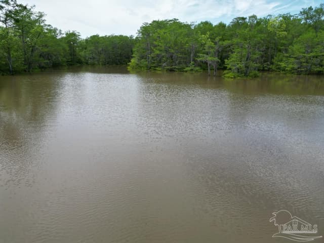 2610 Hwy 4, Jay FL 32565 photo 24