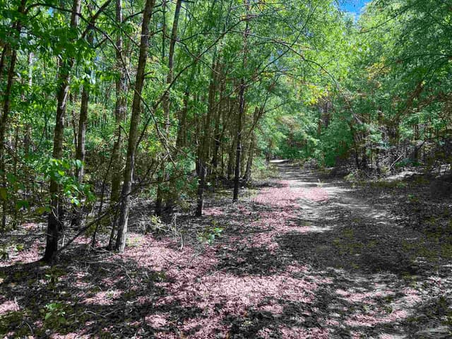 2610 Hwy 4, Jay FL 32565 photo 69