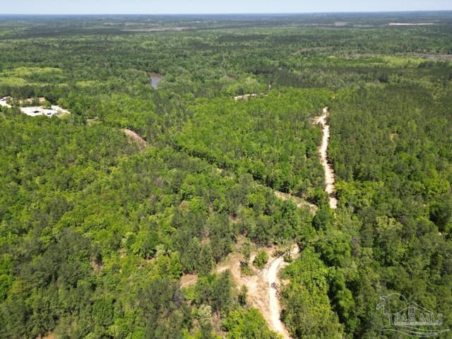2610 Hwy 4, Jay FL 32565 photo 38