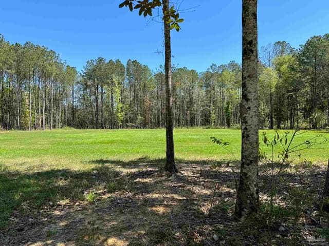 2610 Hwy 4, Jay FL 32565 photo 49