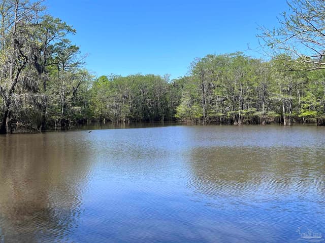 2610 Hwy 4, Jay FL 32565 photo 18