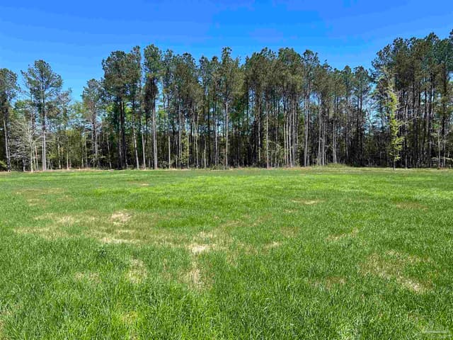 2610 Hwy 4, Jay FL 32565 photo 55
