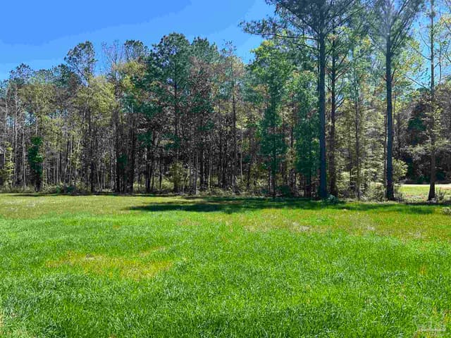 2610 Hwy 4, Jay FL 32565 photo 54