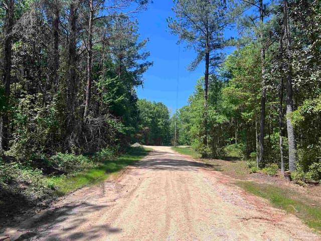 2610 Hwy 4, Jay FL 32565 photo 15