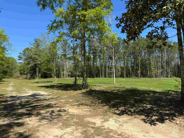 2610 Hwy 4, Jay FL 32565 photo 48