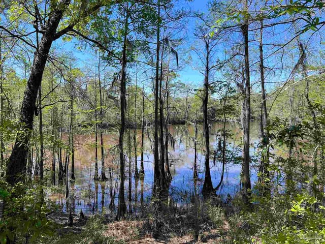 2610 Hwy 4, Jay FL 32565 photo 19
