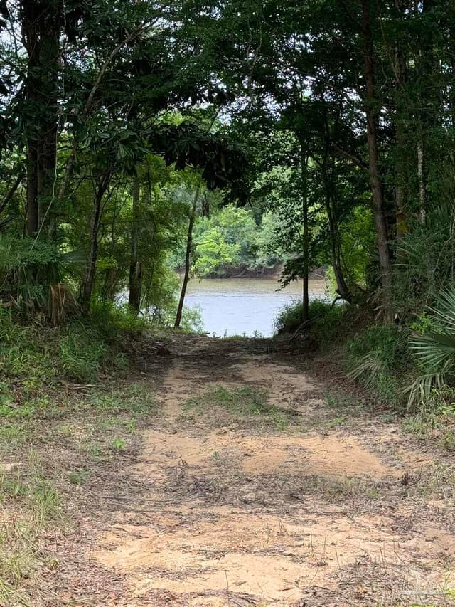2610 Hwy 4, Jay FL 32565 photo 68