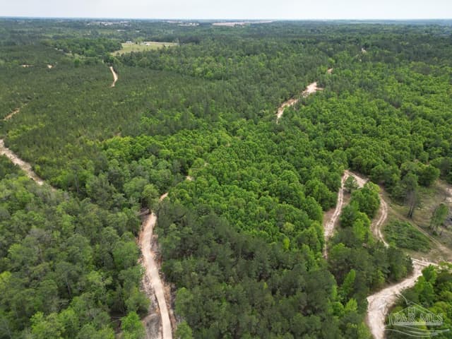 2610 Hwy 4, Jay FL 32565 photo 39