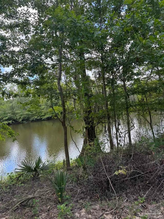 2610 Hwy 4, Jay FL 32565 photo 60