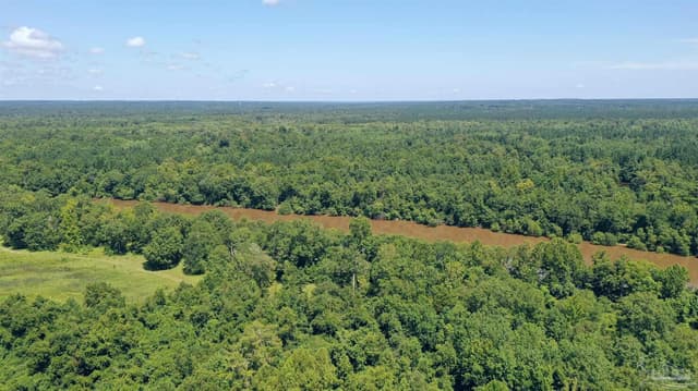 2610 Hwy 4, Jay FL 32565 photo 29