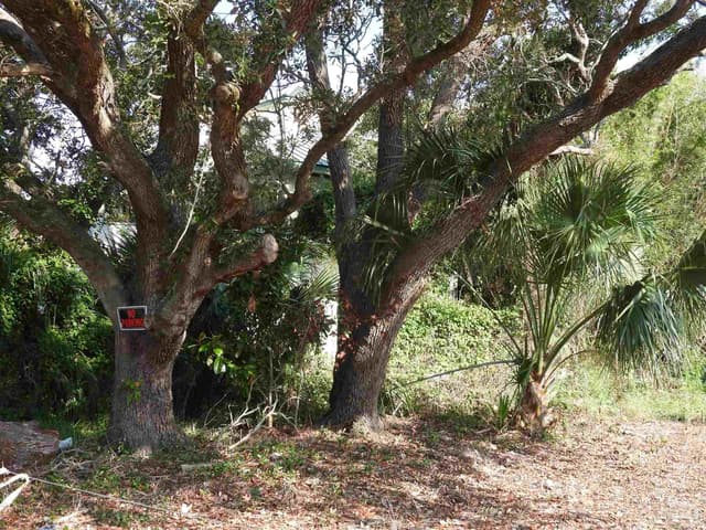 3150 Linden Ave, Gulf Breeze FL 32563 photo 4