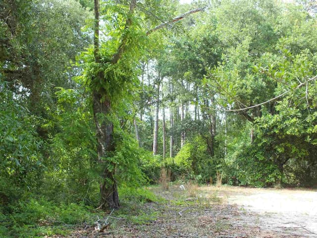 000 Eventide Rd property photo